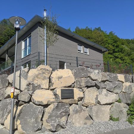 Ferienhaus Schieferterrasse - Waldsee Rieden - מראה חיצוני תמונה